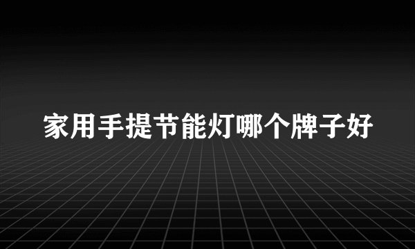 家用手提节能灯哪个牌子好