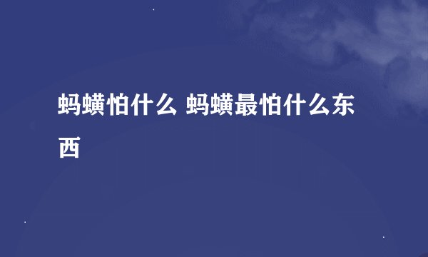 蚂蟥怕什么 蚂蟥最怕什么东西