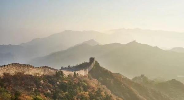 黄瓜，不仅仅是吃的