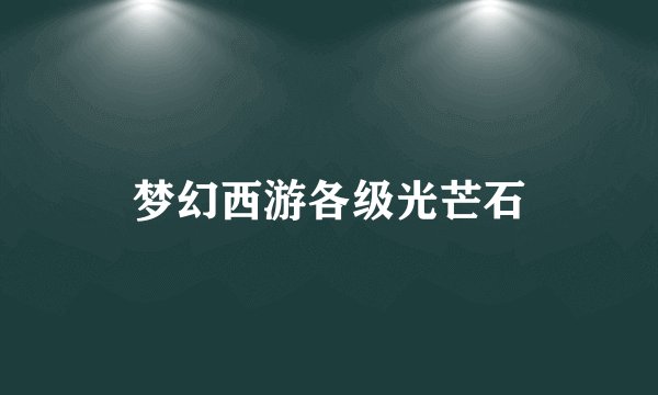 梦幻西游各级光芒石