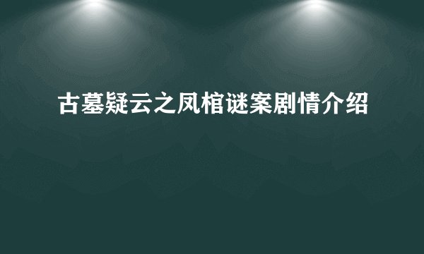 古墓疑云之凤棺谜案剧情介绍
