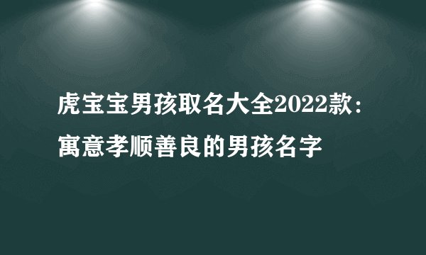 虎宝宝男孩取名大全2022款：寓意孝顺善良的男孩名字