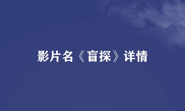影片名《盲探》详情
