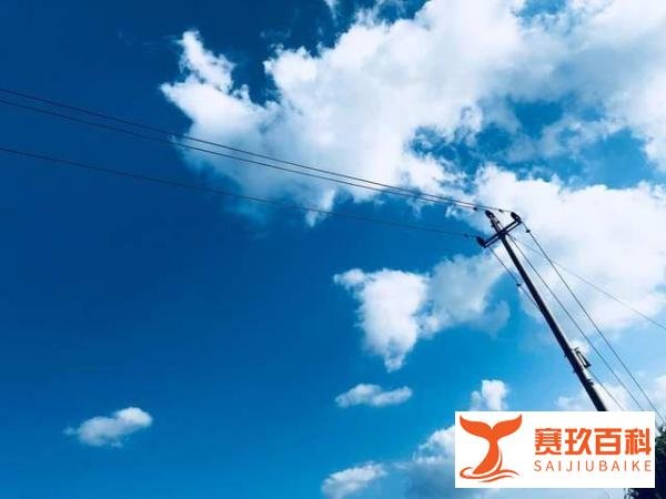 关停300家店，市值狂降3500亿，张勇的穷人思维差点害死海底捞
