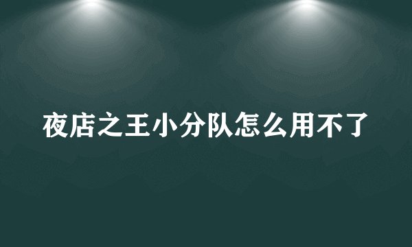 夜店之王小分队怎么用不了