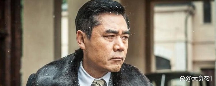 陈宝国主演的仁者无敌