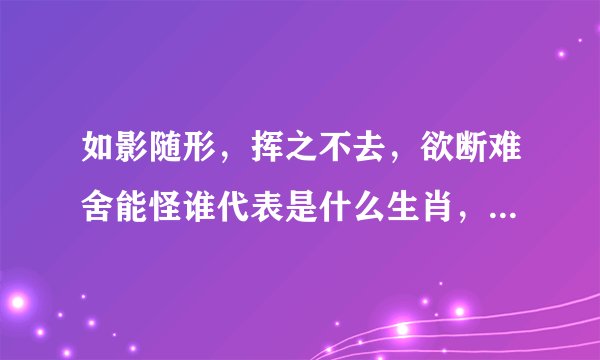 如影随形，挥之不去，欲断难舍能怪谁代表是什么生肖，成语揭秘落实