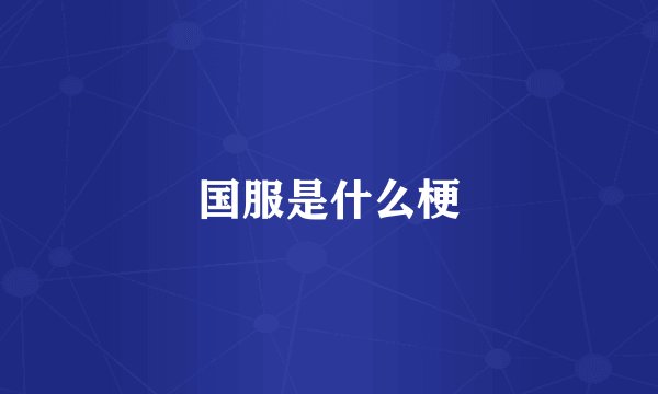 国服是什么梗