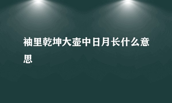 袖里乾坤大壶中日月长什么意思
