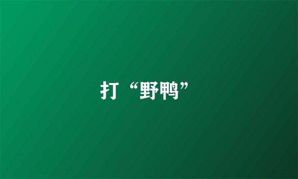 打“野鸭”