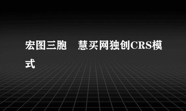 宏图三胞•慧买网独创CRS模式