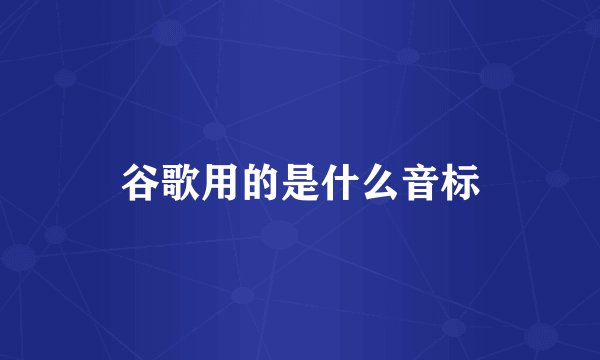 谷歌用的是什么音标