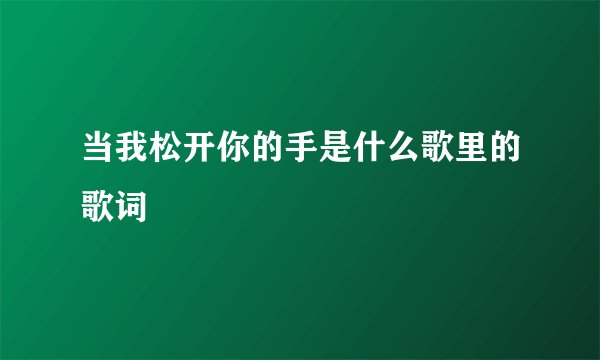 当我松开你的手是什么歌里的歌词