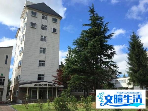 祝贺!福原爱,当大学副教授了!称:“三十三岁了,我会加油的!”