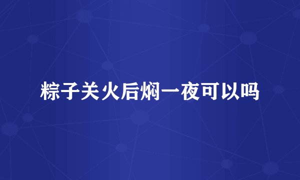 粽子关火后焖一夜可以吗