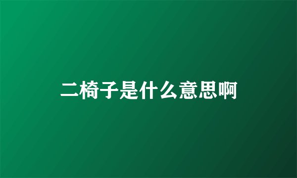 二椅子是什么意思啊