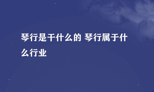 琴行是干什么的 琴行属于什么行业