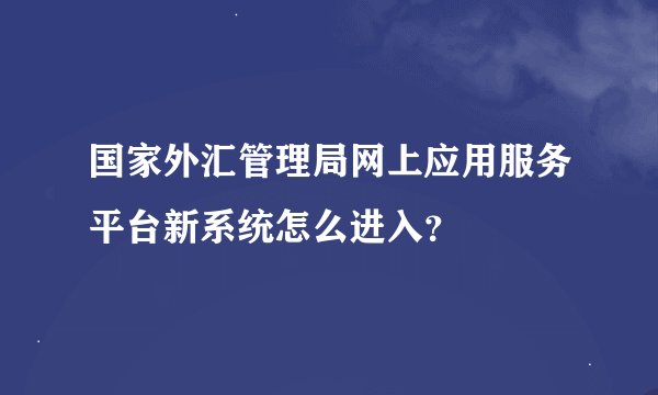 国家外汇管理局网上应用服务平台新系统怎么进入?