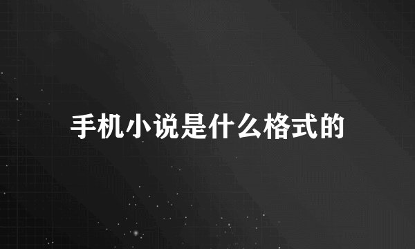 手机小说是什么格式的