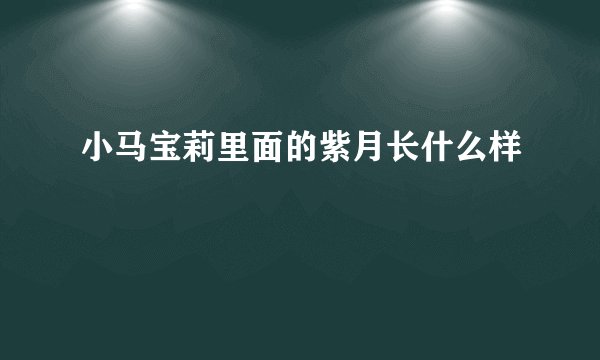 小马宝莉里面的紫月长什么样