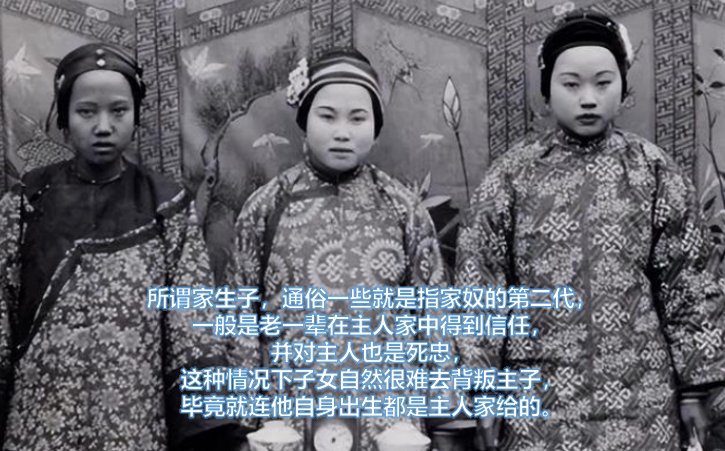 家生子是什么意思