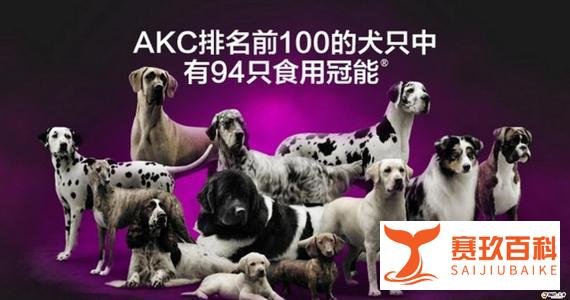 一天一个国外的猫粮狗粮品牌--美国宠儿“冠能Pro Plan”