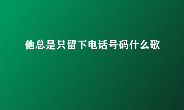 他总是只留下电话号码什么歌