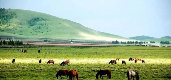 朵妈儿歌学堂:Home On The Range(草原上的家)