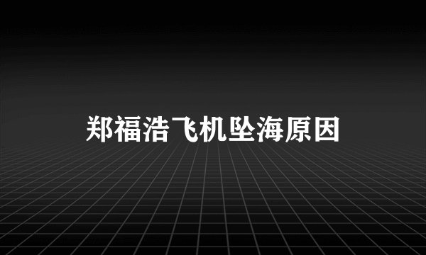 郑福浩飞机坠海原因
