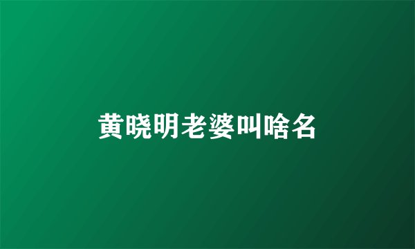 黄晓明老婆叫啥名