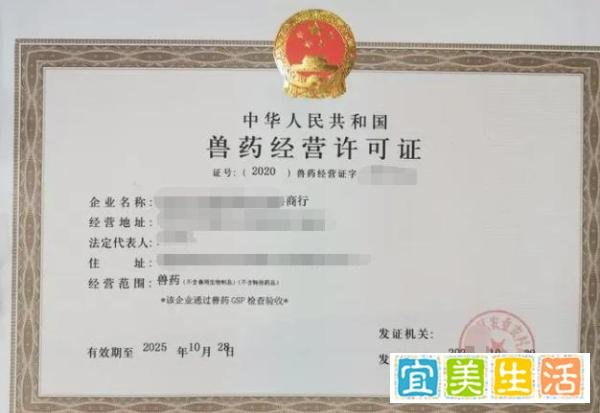 在成都开宠物店需要办理哪些手续?
