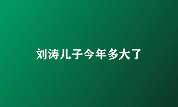 刘涛儿子今年多大了
