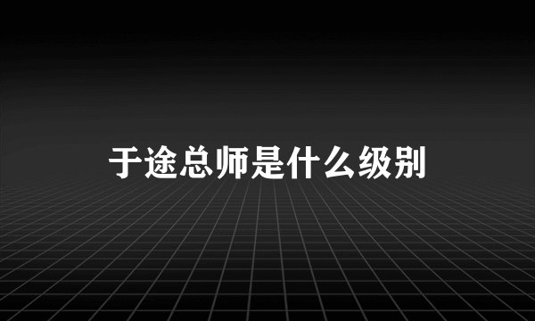 于途总师是什么级别