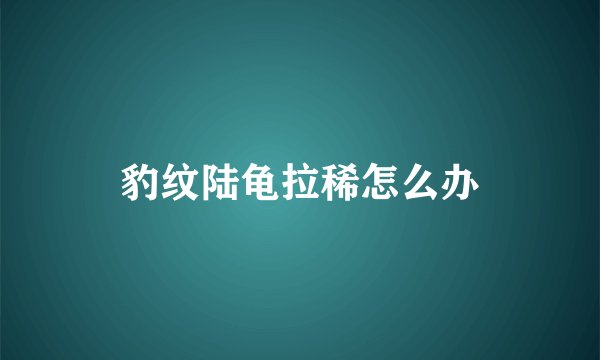 豹纹陆龟拉稀怎么办