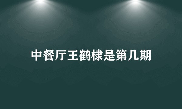 中餐厅王鹤棣是第几期