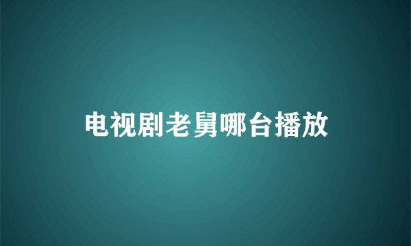 电视剧老舅哪台播放