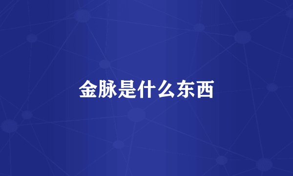 金脉是什么东西