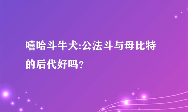 嘻哈斗牛犬:公法斗与母比特的后代好吗？