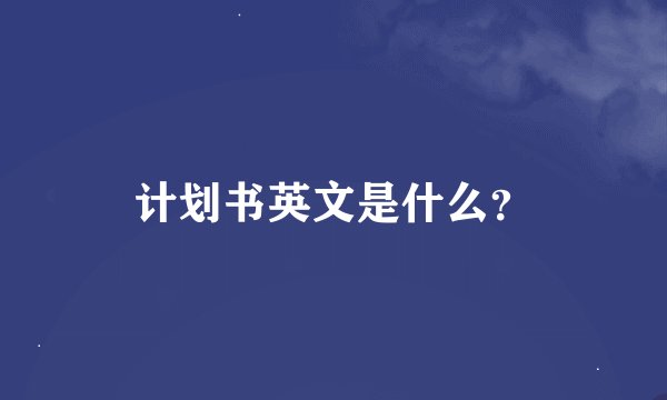 计划书英文是什么？