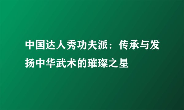 中国达人秀功夫派：传承与发扬中华武术的璀璨之星