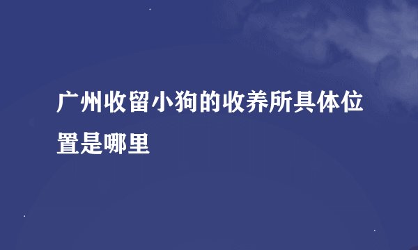 广州收留小狗的收养所具体位置是哪里