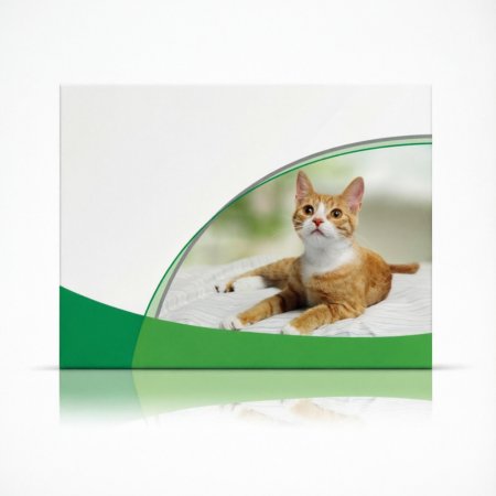 猫咪驱虫费用一般是多少