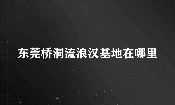 东莞桥洞流浪汉基地在哪里