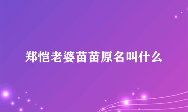郑恺老婆苗苗原名叫什么