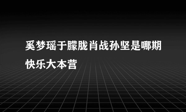 奚梦瑶于朦胧肖战孙坚是哪期快乐大本营