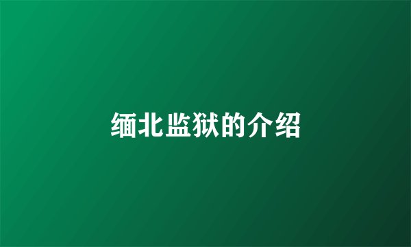 缅北监狱的介绍