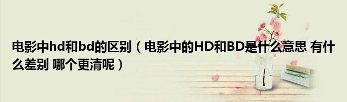 电影中hd和bd的区别电影中的HD和BD是什么意思有什么差别哪个更清呢