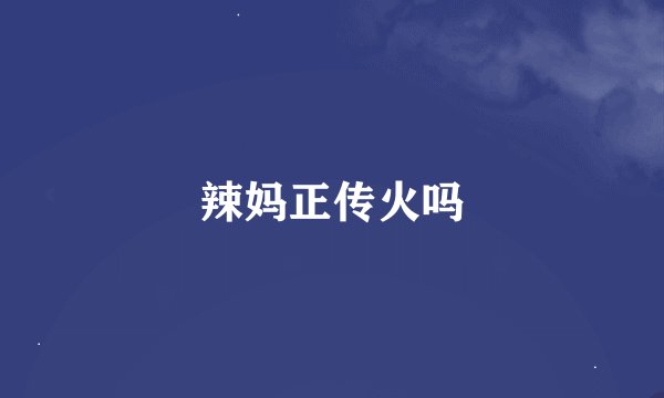 辣妈正传火吗