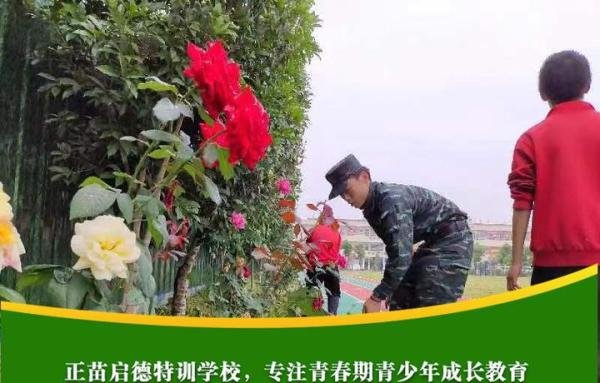 长沙叛逆青少年特训学校的优点主要有哪些