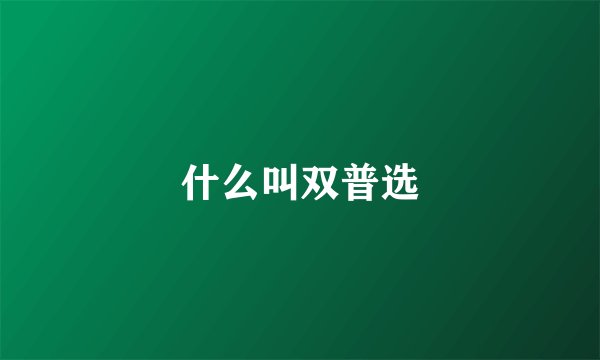 什么叫双普选